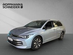 Silber Gebraucht 2024 VW Golf VIII Goal Limousine | 32.880 € (Guter Preis)