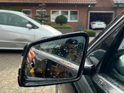 Schwarz Gebraucht 2009 Mercedes E220 Kombi | 9.250 € (Fairer Preis)