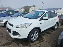 Frostweiß Gebraucht 2015 Ford Kuga SYNC Edition SUV | 12.290 € (Fairer Preis)