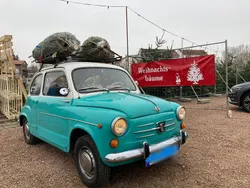 Gebraucht 1970 Fiat 600D Kleinwagen | 6.499 €
