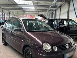 Rot Gebraucht 2003 VW Polo Kleinwagen | 2.150 € (Etwas zu teuer)