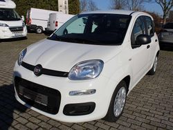 Weiß Neu 2025 Fiat Panda Kleinwagen | 13.890 € (Guter Preis)