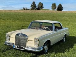 Weiß Gebraucht 1966 Mercedes 250 SE Coupé | 39.000 €
