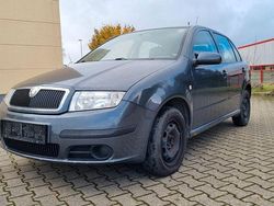 Grau Gebraucht 2007 Skoda Fabia Cool Edition Kleinwagen | 799 € (Guter Preis)