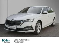 Weiß Gebraucht 2022 Skoda Octavia Style Kombi | 23.980 € (Fairer Preis)