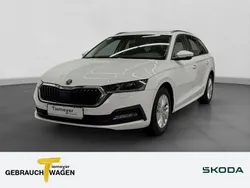 Weiß Gebraucht 2022 Skoda Octavia Ambition Kombi | 21.490 € (Fairer Preis)