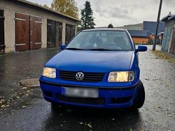 Blau Gebraucht 2000 VW Polo Kleinwagen | 1.499 € (Fairer Preis)