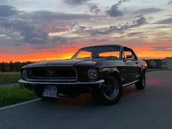 Schwarz Gebraucht 1968 Ford Mustang Coupé | 28.000 €
