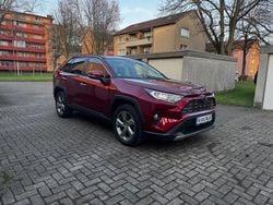 Rot Gebraucht 2019 Toyota RAV4 Hybrid Lounge SUV | 23.000 € (Guter Preis)