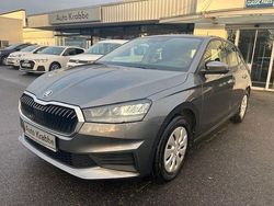 Grau Gebraucht 2023 Skoda Fabia Active Limousine | 12.880 € (Fairer Preis)