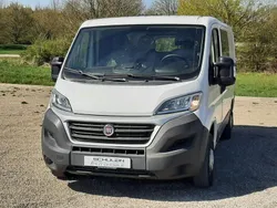 Weiß Gebraucht 2016 Fiat Ducato Van | 7.479 € (Teuer)