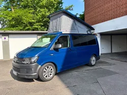 Blau Gebraucht 2018 VW T6 Van | 39.000 € (Teuer)