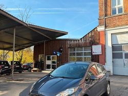 Blau Gebraucht 2013 Ford Fiesta Kleinwagen | 3.800 € (Guter Preis)