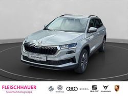 Steelgrau Neu 2025 Skoda Karoq Tour SUV | 39.790 € (Teuer)