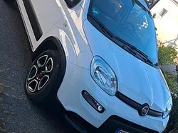 Weiß Gebraucht 2021 Fiat Panda Kleinwagen | 9.799 €
