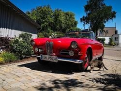 Rot Gebraucht 1959 BMW 503 Cabrio | 315.000 €