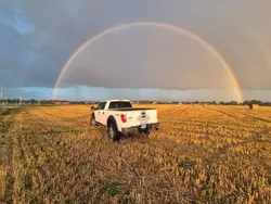 Weiß Gebraucht 2012 Ford F-150 Abholung | 16.000 € (Guter Preis)