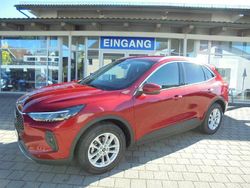 Rot Gebraucht 2024 Ford Kuga Titanium SUV | 27.890 € (Guter Preis)