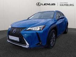 Blau Gebraucht 2019 Lexus UX Executive Line SUV | 21.990 € (Superpreis)
