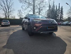 Rot Gebraucht 2016 Toyota RAV4 Hybrid Comfort SUV | 17.000 € (Fairer Preis)