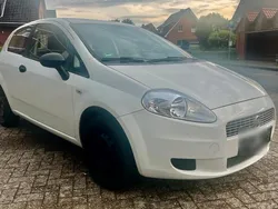 Weiß Gebraucht 2009 Fiat Punto Kleinwagen | 1.100 € (Guter Preis)