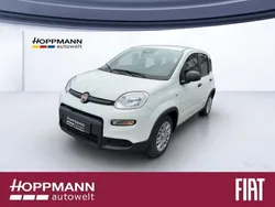 Weiß Neu 2024 Fiat Panda Kleinwagen | 15.990 € (Fairer Preis)