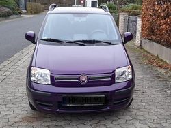 Violet Gebraucht 2011 Fiat Panda Dynamic Kleinwagen | 2.700 € (Fairer Preis)