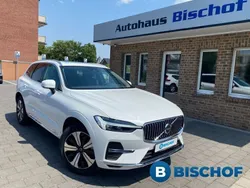 Weiß Gebraucht 2024 Volvo XC60 Plus SUV | 52.990 € (Fairer Preis)