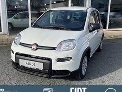 Weiß Gebraucht 2025 Fiat Panda Cross Cross Kleinwagen | 14.990 € (Fairer Preis)