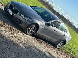 Grau Gebraucht 2015 Jaguar XE Pure Limousine | 2.990 € (Fairer Preis)