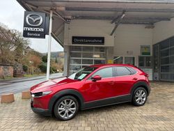 Rot Gebraucht 2021 Mazda CX-30 Selection SUV | 22.490 € (Fairer Preis)