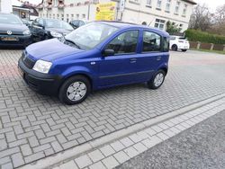 Blau Gebraucht 2009 Fiat Panda Kleinwagen | 3.500 € (Teuer)