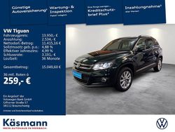 Grün Gebraucht 2014 VW Tiguan Sport SUV | 13.950 € (Fairer Preis)