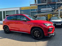 "velvet" rot Gebraucht 2022 Cupra Ateca SUV | 34.480 € (Guter Preis)