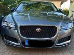 Grau Gebraucht 2016 Jaguar XF Portfolio Limousine | 19.950 € (Fairer Preis)