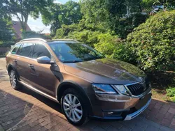 Braun Gebraucht 2019 Skoda Octavia Scout Scout 4x4 Kombi | 19.500 € (Guter Preis)