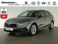 Grau Gebraucht 2022 Skoda Octavia Ambition Kombi | 22.824 € (Guter Preis)