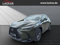 Gruen Neu 2025 Lexus NX350h E-FOUR SUV | 53.950 € (Fairer Preis)