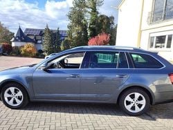 Grau Gebraucht 2019 Skoda Octavia Kombi | 12.666 € (Superpreis)