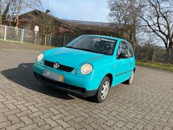 Andere farben Gebraucht 2002 VW Lupo Kleinwagen | 1.450 € (Fairer Preis)