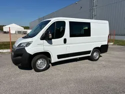 Weiß Gebraucht 2018 Fiat Ducato Van | 11.999 € (Etwas zu teuer)