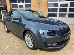 Grau Gebraucht 2016 Skoda Octavia Joy Limousine | 13.590 € (Etwas zu teuer)