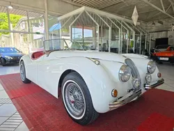 Jaguar XK