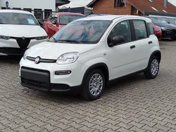 Weiß Neu 2025 Fiat Panda Kleinwagen | 15.989 € (Fairer Preis)