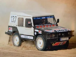Schwarz Gebraucht 1981 VW Iltis Cabrio | 18.500 €