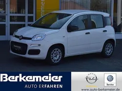 Weiß Gebraucht 2020 Fiat Panda Urban Kleinwagen | 8.990 € (Fairer Preis)