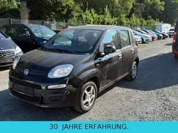 Schwarz Gebraucht 2020 Fiat Panda Easy Kleinwagen | 8.300 € (Guter Preis)