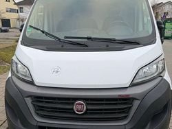 Weiß Gebraucht 2020 Fiat Ducato Van | 21.500 € (Fairer Preis)