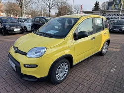 Gelb Gebraucht 2024 Fiat Panda Kleinwagen | 14.589 € (Fairer Preis)