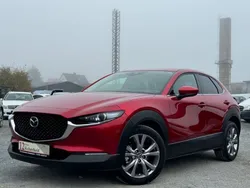 Rot Gebraucht 2020 Mazda CX-30 Selection SUV | 20.599 € (Fairer Preis)
